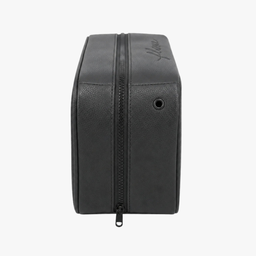 Shoe Bag