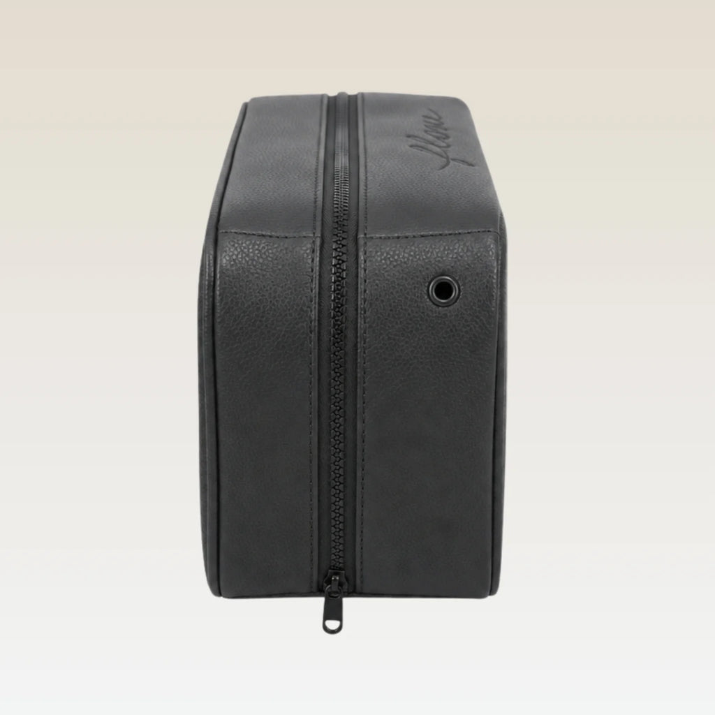 Shoe Bag