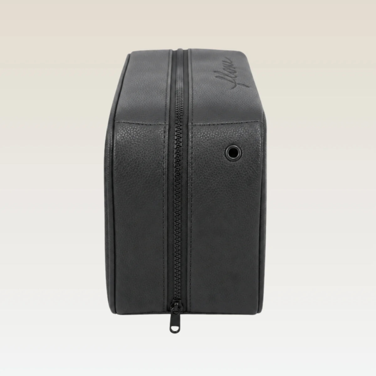 Shoe Bag